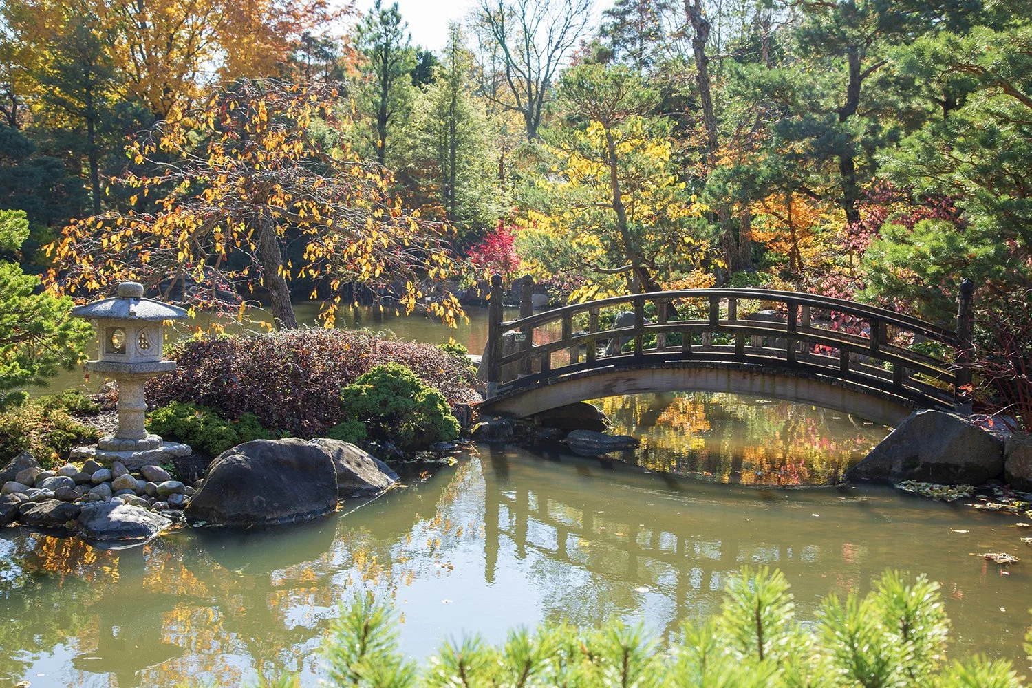 Autumn at the Anderson Japanese Garden (Rockford, IL) — april bern
